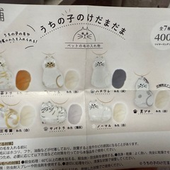 うちの子のけだまだまの画像
