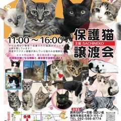 10/26 さち猫福岡譲渡会　読売センター花畑・弥生坂