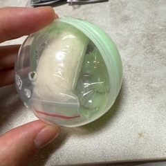 うちの子のけだまだま（店舗限定あり）の画像