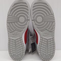 NIKE ナイキ ダンク LOW QS FQ6965-600 size:28.0cmの画像