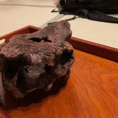 美形流木　15cm〜25cmの画像