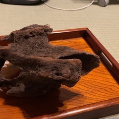 美形流木　15cm〜25cmの画像