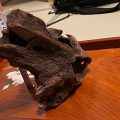 美形流木　15cm〜25cmの画像