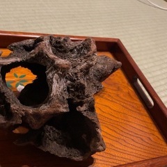 美形流木　15cm〜25cmの画像