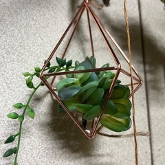 多肉植物のフェイクグリーン吊り飾りの画像