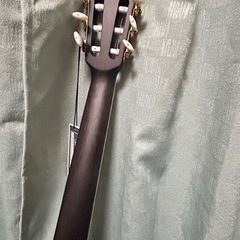 Ibanez Signature Model Tim Henson TOD10N-TKFの画像