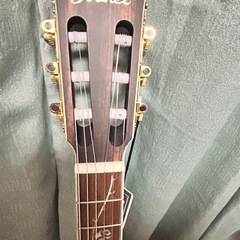 Ibanez Signature Model Tim Henson TOD10N-TKFの画像