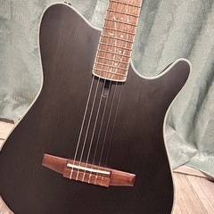 Ibanez Signature Model Tim Henson TOD10N-TKFの画像