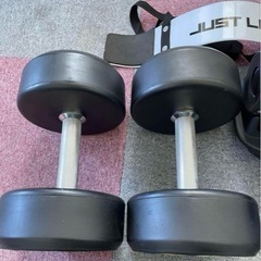 IROTEC ラバーダンベル 26kg②の画像