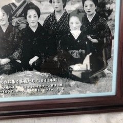 琉球美人　コビーの画像