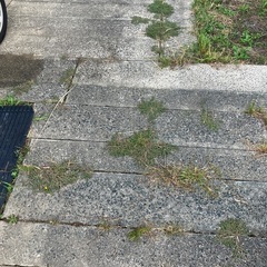 募集停止中‼️無料！豆板　コンクリート板　ブロックあげます。の画像
