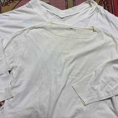 Ｔシャツの画像