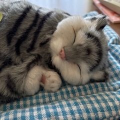猫ちゃんの置き物の画像