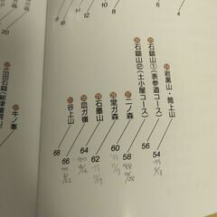 『愛媛県の山　分県登山ガイド37』山と渓谷社の画像