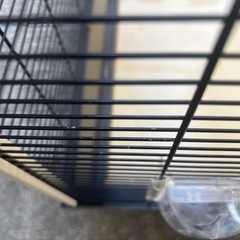 ペット　ゲージ　　の画像