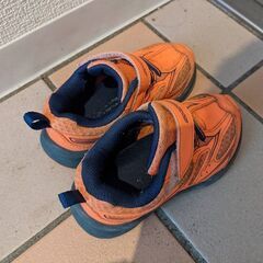 子供用シューズ　瞬足（16cm）　無料でお譲りします。クリーニング済み。の画像