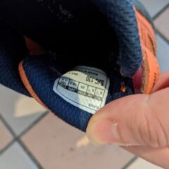 子供用シューズ　瞬足（16cm）　無料でお譲りします。クリーニング済み。の画像