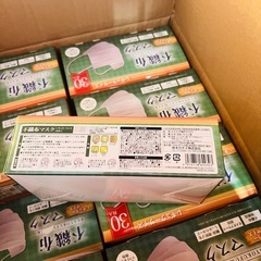 不織布マスク ふつうサイズ 40枚 30箱  1200枚の画像