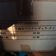 不織布マスク ふつうサイズ 40枚 30箱  1200枚の画像