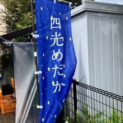 9月30日　四光めだか　めだか無人販売　横須賀市長井