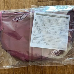ハーゲンダッツ保冷バックの画像