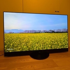 Panasonic 2023年製 55型 TH-55MZ2500の画像