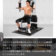BODYMAKER ホームジムデラックス　シャフト付き　値下げ交渉歓迎の画像
