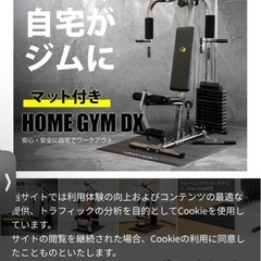 BODYMAKER ホームジムデラックス　シャフト付き　値下げ交渉歓迎の画像