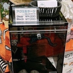 ヤモリ　アクリルケースの画像