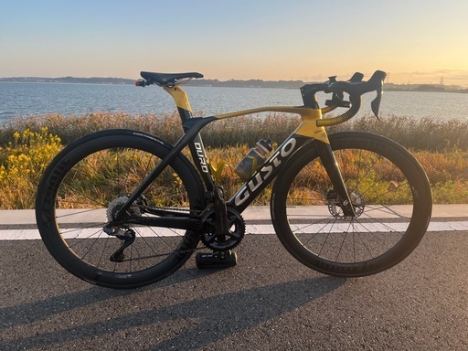 ロードバイク GUSTO DURO EVO PRO TE