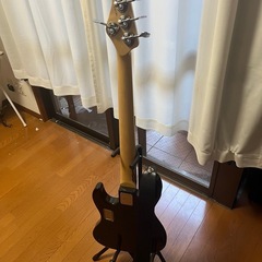 ESP AMAZE SL5の画像