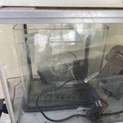 水槽すべて差し上げます全て持って行ける方限定
の画像