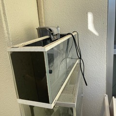 水槽すべて差し上げます全て持って行ける方限定
の画像