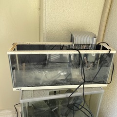 水槽すべて差し上げます全て持って行ける方限定
の画像