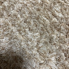 決まりました　美品　ニトリ　アクセントラグ　Sシャギー　ベージュの画像