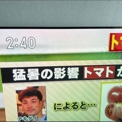 【訳あり】有機ELテレビ 65型の画像