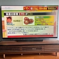 【訳あり】有機ELテレビ 65型の画像