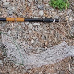 釣り　タモ網　網は新品の画像