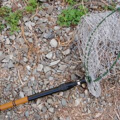 釣り　タモ網　網は新品の画像