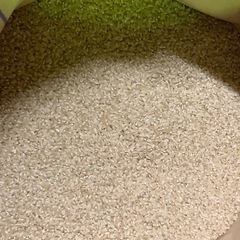 ●一度受付け停止します● 令和7年産　新米　ひとめぼれ　玄米30kg　⚫︎農家直販⚫︎味に自信あります！の画像