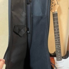 SELDER エレキギターの画像