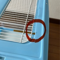 鳥かご　マルカンバードパレスの画像