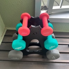 プロイロン ダンベルセットの画像