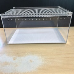 レプタイルボックスの画像