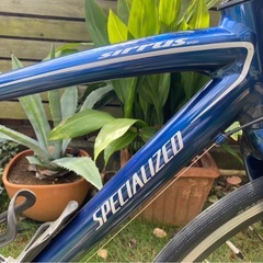 自転車　ロードバイク　スペシャライズド　シラス　スポーツ　16段変速の画像
