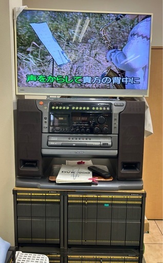 パイオニア レーザーディスク カラオケセット