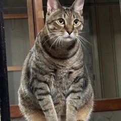 遊ぶことが好きな子です。