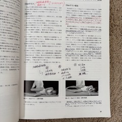 ケンダル-筋:機能とテスト
の画像