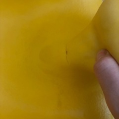 バンボの画像