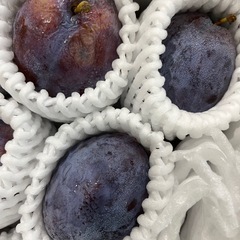 岡山県産晴王1箱4房2kgの画像